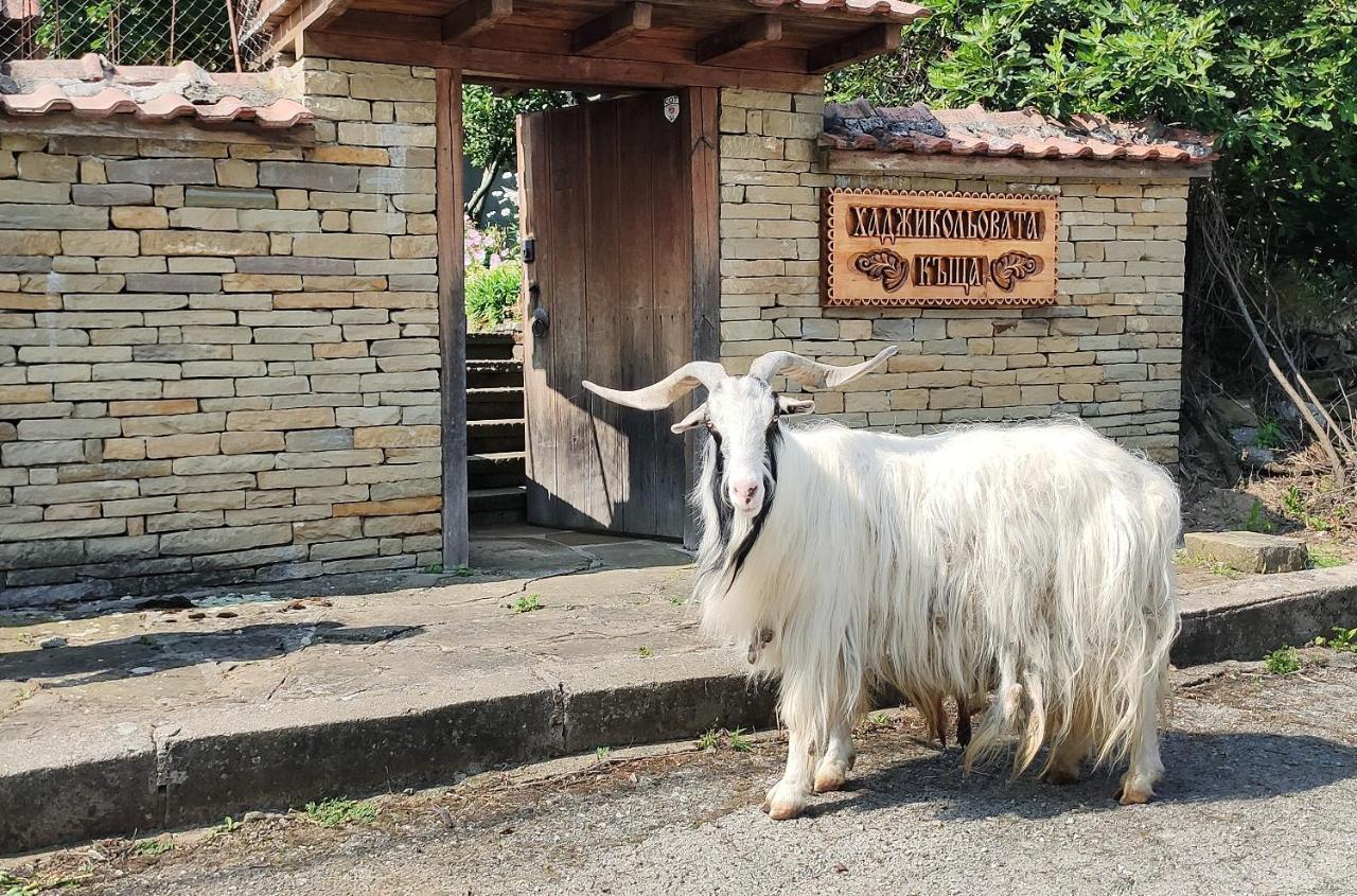 Хаджикольовата Къща Villa Medven Kültér fotó
