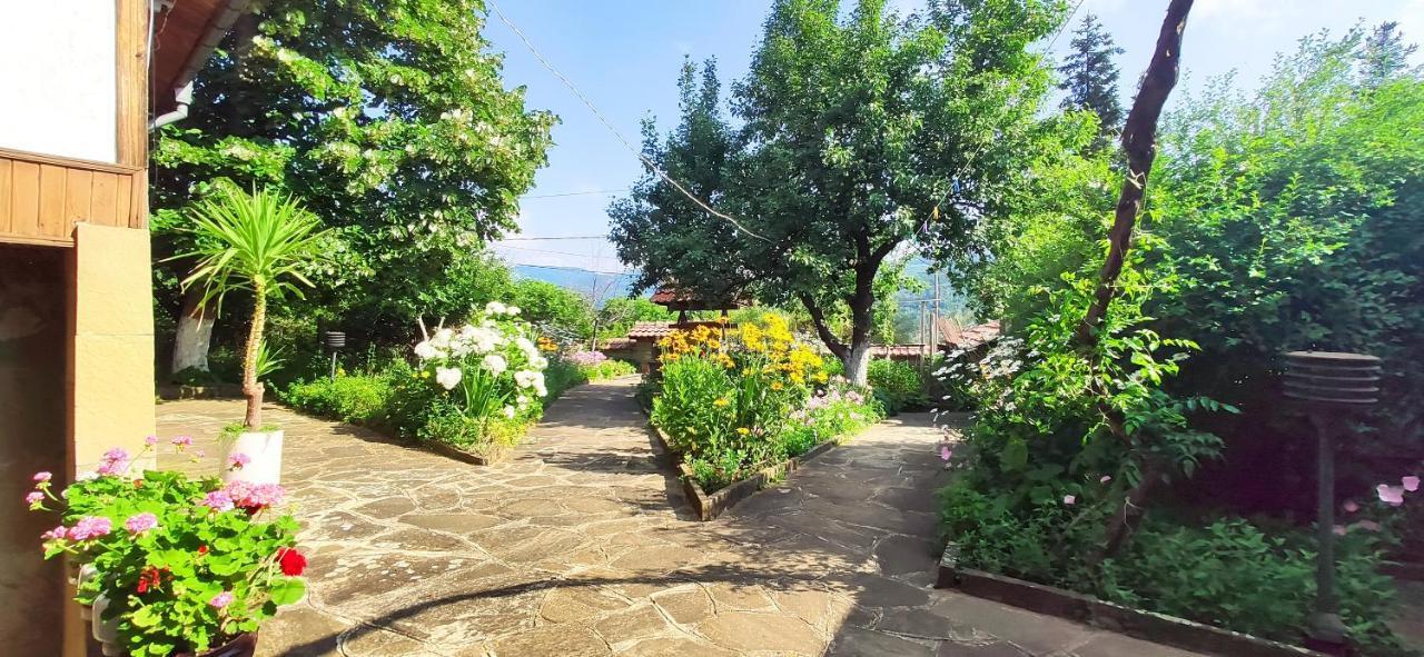 Хаджикольовата Къща Villa Medven Kültér fotó