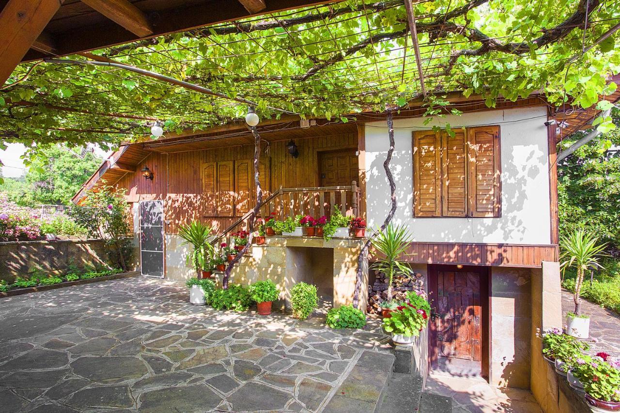 Хаджикольовата Къща Villa Medven Kültér fotó